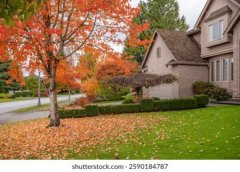 工程质量与施工规范管控